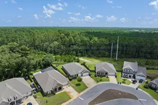 220 Conner Cir, Santa Rosa Beach, FL 32459 - Photo 44