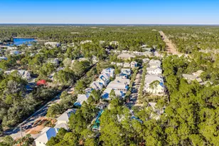 13 Eastern Lake Ct, Santa Rosa Beach, FL 32459 - Photo 46