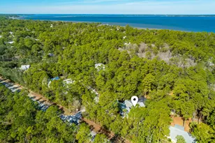 611 Amelia Ln, Santa Rosa Beach, FL 32459 - Photo 58