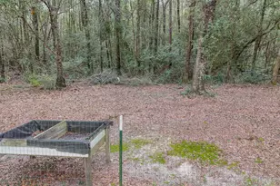 543 Cat Island Rd, Defuniak Springs, FL 32433 - Photo 30