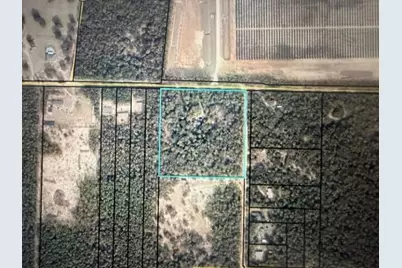 Tbd Parcel B+/- 2 Ac Trawick Creek Road, Holt, FL 32564 - Photo 4