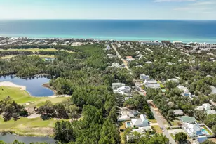 476 Seacrest Dr, Inlet Beach, FL 32461 - Photo 46