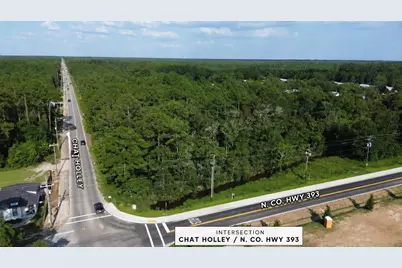 0 N Co Highway 393, Santa Rosa Beach, FL 32459 - Photo 2