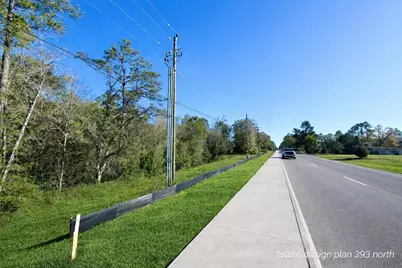 0 N Co Highway 393, Santa Rosa Beach, FL 32459 - Photo 10