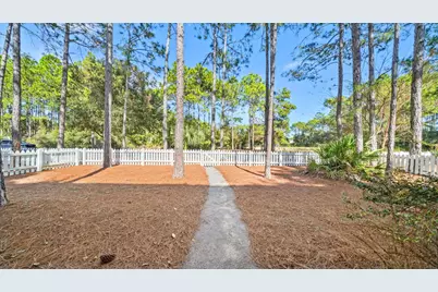 302 Jack Knife Drive, Inlet Beach, FL 32461 - Photo 40