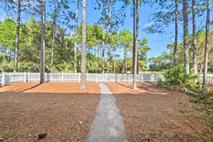 302 Jack Knife Drive, Inlet Beach, FL 32461 - Photo 40