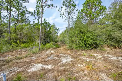 3842 Bear Head Road, Crestview, FL 32539 - Photo 4