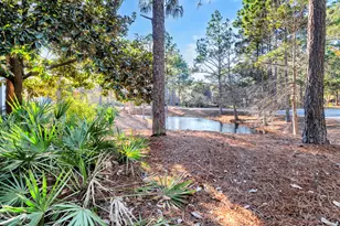 1303 Laurel Way, Miramar Beach, FL 32550 - Photo 76