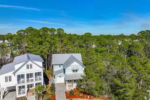 302 Cabana Trail, Santa Rosa Beach, FL 32459 - Photo 52