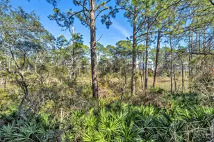 302 Cabana Trail, Santa Rosa Beach, FL 32459 - Photo 70