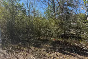 210 Sidney Ave, Defuniak Springs, FL 32433 - Photo 26