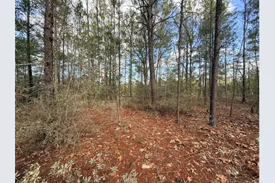 Lot 2 Blk 8 On E Violet Lane, Defuniak Springs, FL 32433 - Photo 4