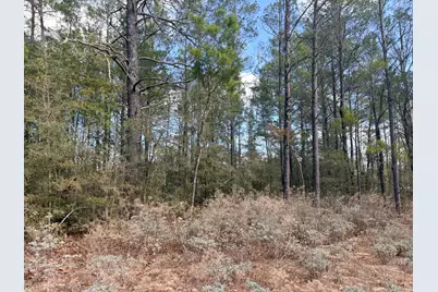 Lot 2 Blk 8 On E Violet Lane, Defuniak Springs, FL 32433 - Photo 8
