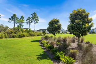 289 Catface Dr, Inlet Beach, FL 32461 - Photo 4