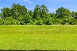 163 W Farm Owl Dr, Freeport, FL 32439 - Photo 34