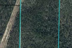 Xxx L K Lona Dr, Fountain, FL 32438 - Photo 1