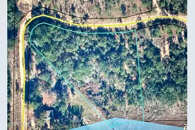 Lot 40 Grassy Pond Road, Chipley, FL 32428 - Photo 1