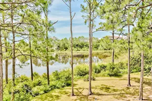 114 Mar-A-Lago Blvd, Santa Rosa Beach, FL 32459 - Photo 12