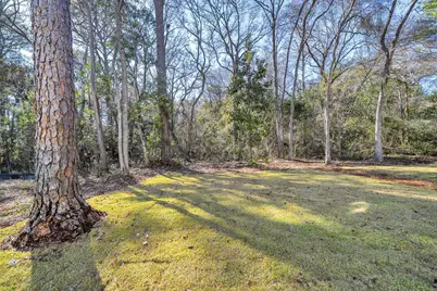 119 Osprey Lane, Santa Rosa Beach, FL 32459 - Photo 22