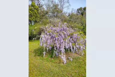 4611 Gunter Road, Milton, FL 32570 - Photo 24