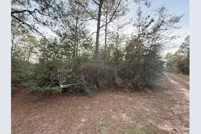 Lots 9-11 Tangerine & Lot 2 Girl Scout, Defuniak Springs, FL 32433 - Photo 14