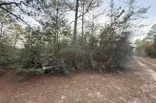 Lots 9-11 Tangerine & Lot 2 Girl Scout, Defuniak Springs, FL 32433 - Photo 14
