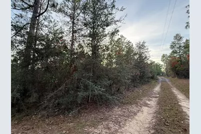 Lots 9-11 Tangerine & Lot 2 Girl Scout, Defuniak Springs, FL 32433 - Photo 8