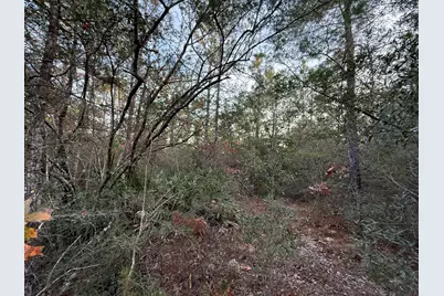 Lots 9-11 Tangerine & Lot 2 Girl Scout, Defuniak Springs, FL 32433 - Photo 10