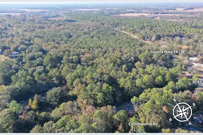 0 W Co Highway 181, Defuniak Springs, FL 32433 - Photo 8