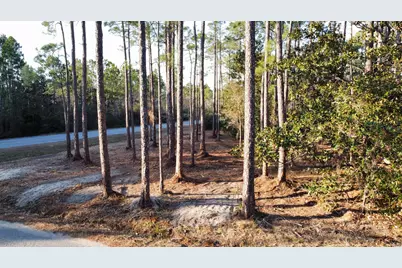 Lot 1 Crissman Road, Santa Rosa Beach, FL 32459 - Photo 8