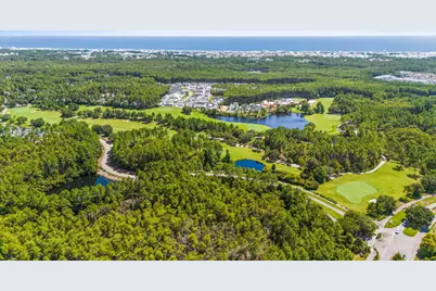 198 Medley Street, Inlet Beach, FL 32461 - Photo 50
