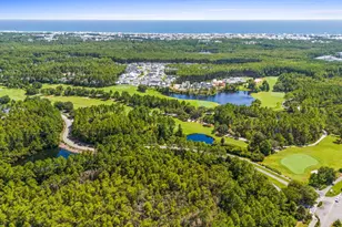 198 Medley Street, Inlet Beach, FL 32461 - Photo 50