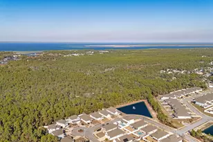 163 Stonegate Cir, Santa Rosa Beach, FL 32459 - Photo 60