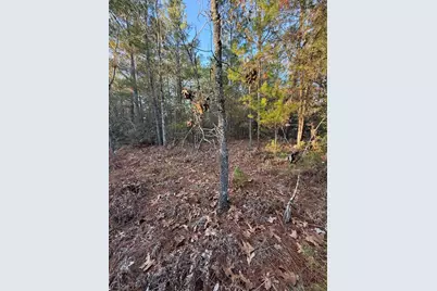 Lot 5 Blk 54 On Forest Lane, Defuniak Springs, FL 32433 - Photo 4