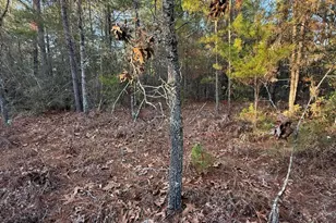 Lot 5 Blk 54 On Forest Ln, Defuniak Springs, FL 32433 - Photo 4