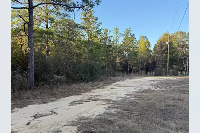 Lot 5 Blk 54 On Forest Lane, Defuniak Springs, FL 32433 - Photo 1