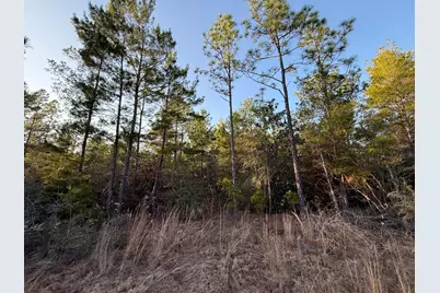 Lot 5 Blk 54 On Forest Lane, Defuniak Springs, FL 32433 - Photo 2