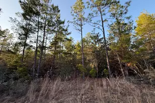 Lot 5 Blk 54 On Forest Ln, Defuniak Springs, FL 32433 - Photo 2