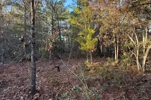 Lot 5 Blk 54 On Forest Ln, Defuniak Springs, FL 32433 - Photo 8