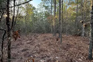 Lot 5 Blk 54 On Forest Ln, Defuniak Springs, FL 32433 - Photo 6