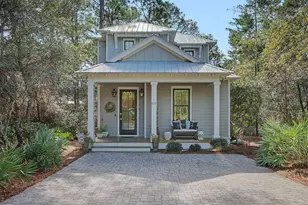 111 Hammock Ln, Santa Rosa Beach, FL 32459 - Photo 1