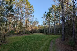 Tbd Sowell Dr, Crestview, FL 32539 - Photo 1