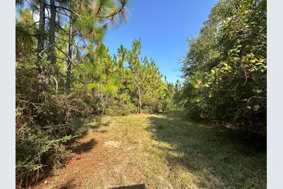 B & C New Ebenezer Road, Laurel Hill, FL 32567 - Photo 10