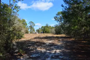 646 Millard Gainey Rd, Defuniak Springs, FL 32435 - Photo 34
