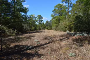 646 Millard Gainey Rd, Defuniak Springs, FL 32435 - Photo 36