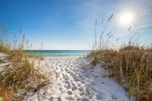 12 Jan Ct, Inlet Beach, FL 32461 - Photo 48