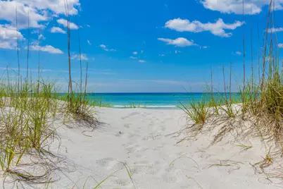 12 Jan Court, Inlet Beach, FL 32461 - Photo 48