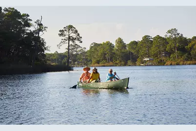 280 Green Heron Street #Lot 28, Watersound, FL 32461 - Photo 42