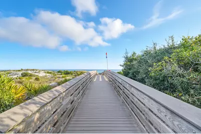 135 Grayling Way, Inlet Beach, FL 32461 - Photo 50