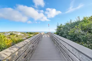 135 Grayling Way, Inlet Beach, FL 32461 - Photo 50